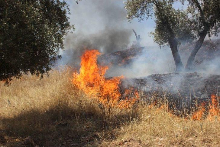 Aydın Alevlere Teslim Oldu G2