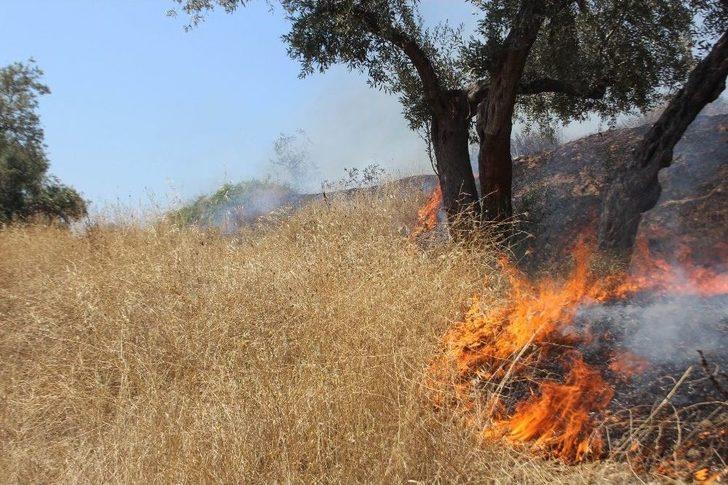 Aydın Alevlere Teslim Oldu G4