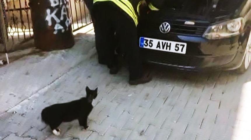 Anne Kedi, Yavrusu Kurtarılırken Başından Ayrılmadı