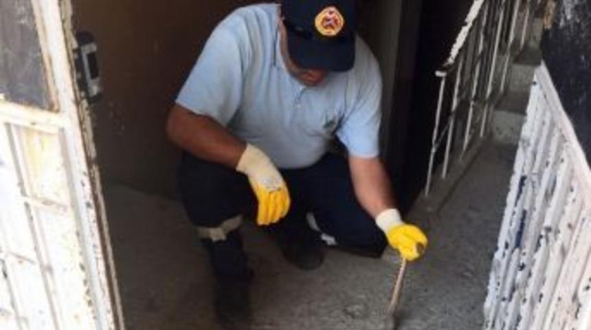 &Ccedil;orum&rsquo;da Apartmanda Yılan Paniği