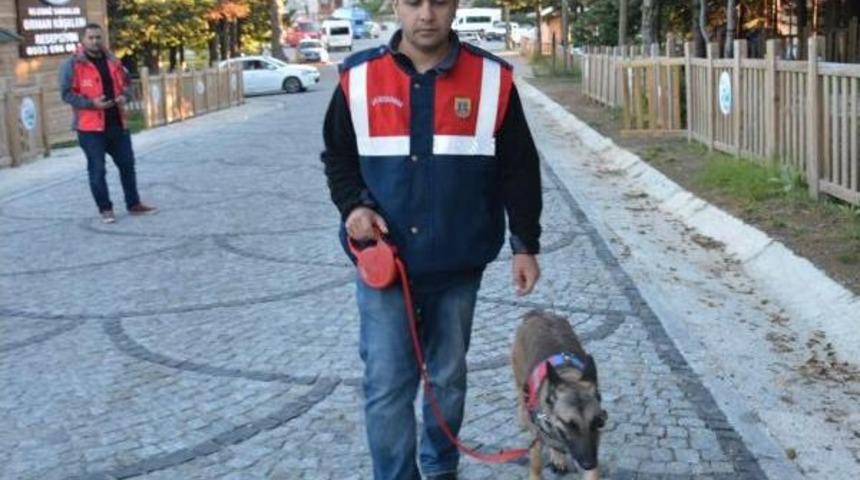 Ekipler, Uludağ'da Kaybolan Katarlı Turist &Ccedil;ocuğu Bulmak I&ccedil;in Seferber Oldu