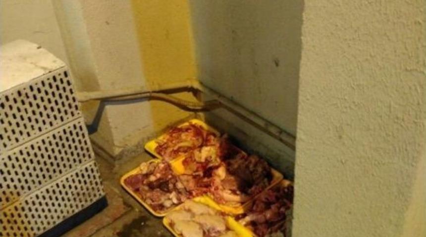 Hayvansever Vatandaşlar &Ccedil;evre Kirliliği İ&ccedil;in Uyarıldı