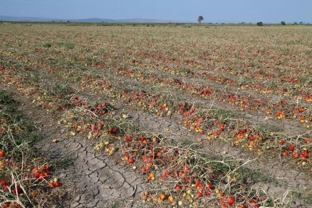 Dolunun Vurduğu &Ccedil;ift&ccedil;iye Bursa B&uuml;y&uuml;kşehir Belediyesi&rsquo;nden Destek