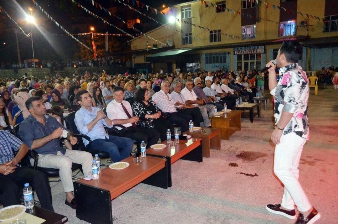 &Ccedil;emişgezek&rsquo;te 17. Dut Ve Peynir Festivali
