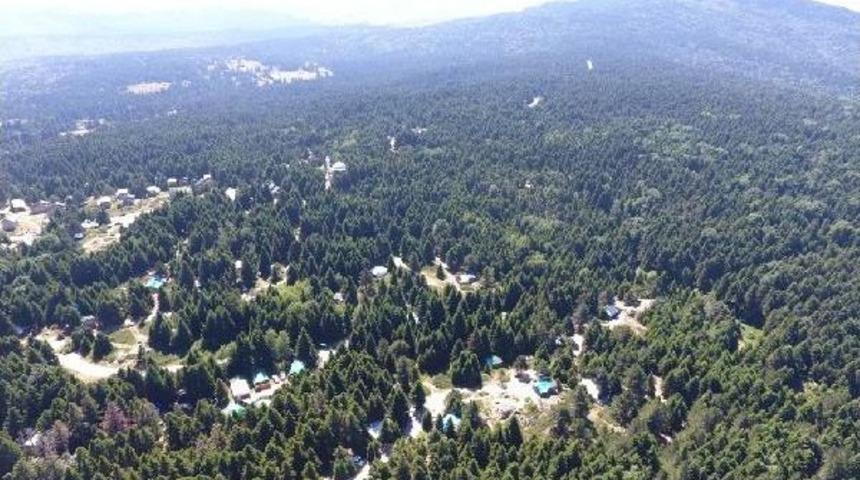 Ekipler, Uludağ'da Kaybolan Katarlı Turist &Ccedil;ocuğu Bulmak I&ccedil;in Seferber Oldu (2)