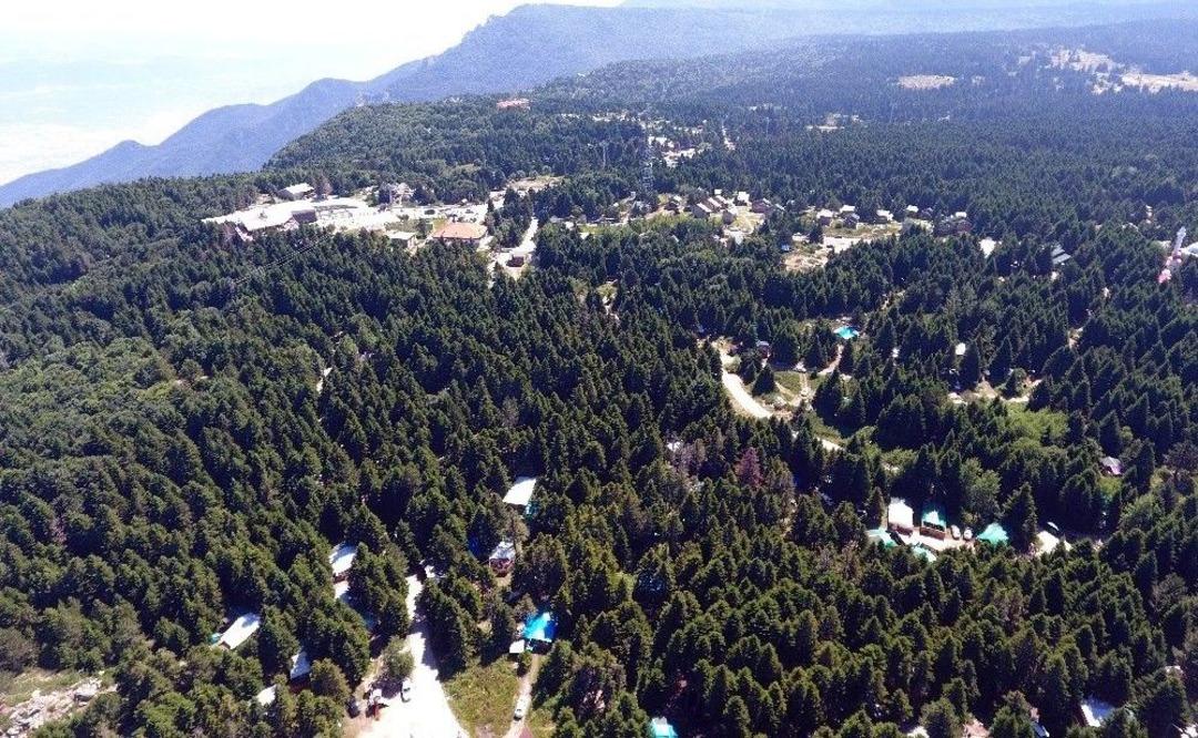 Kayıp Katarlı &Ccedil;ocuk Drone İle Aranıyor