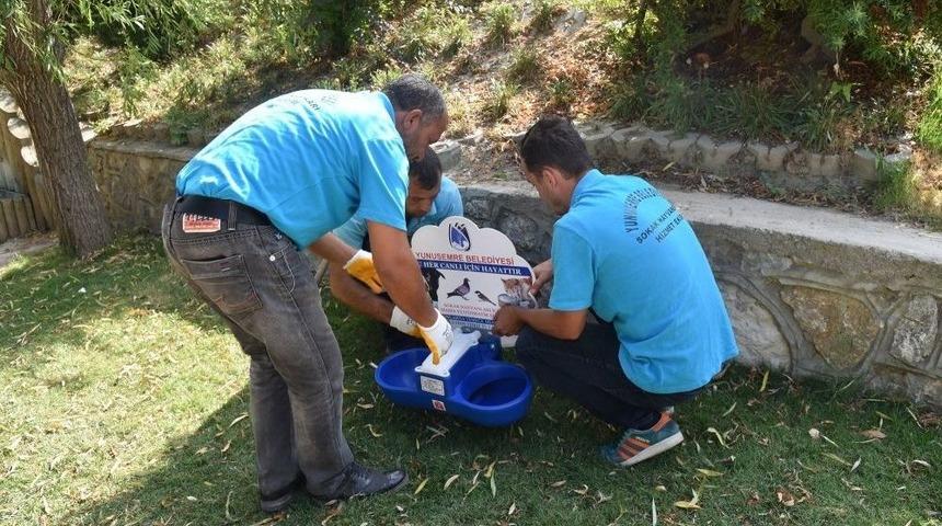Manisa&rsquo;da Yaz Aylarında Sokak Hayvanları Unutulmadı