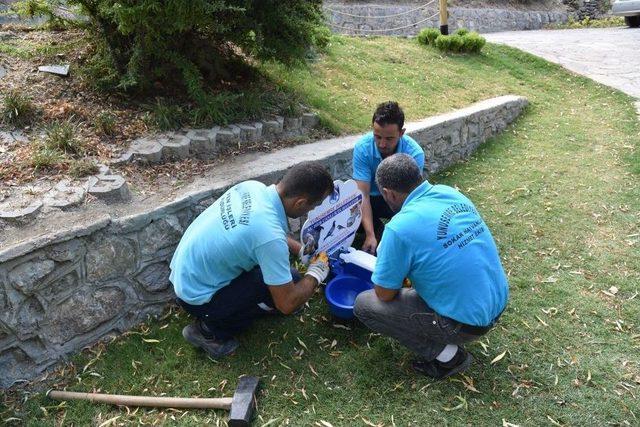 Manisa’da Yaz Aylarında Sokak Hayvanları Unutulmadı