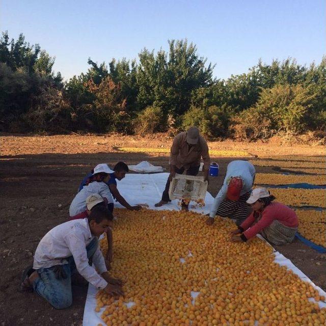 Mhp Akçadağ İlçe Başkanı Cahit Leventoğlu: