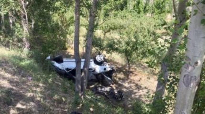 Kontrolden Çıkan Otomobil Ağaça Çarptı: 1 Yaralı