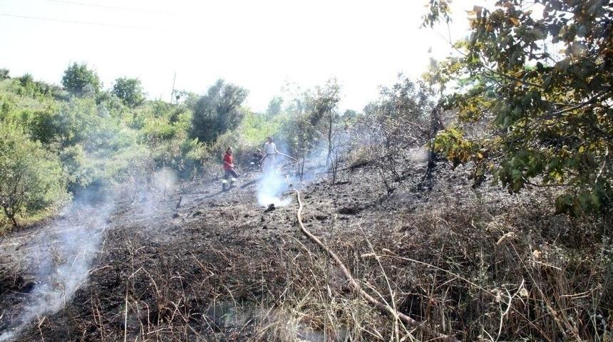 Ormanlık Alandaki Yangın Büyümeden Söndürüldü