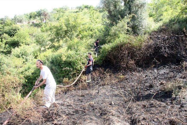 Ormanlık Alandaki Yangın Büyümeden Söndürüldü