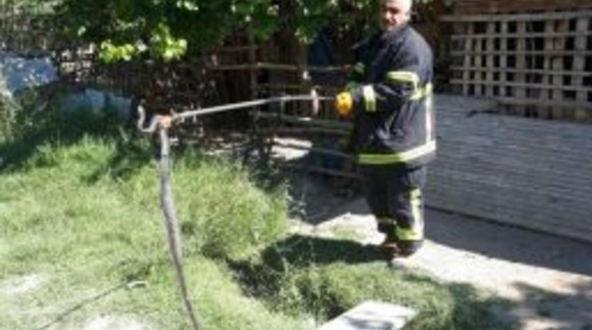 Depoya Giren Yılanı İtfaiye Yakaladı