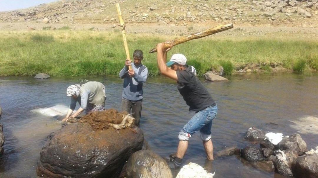 Ağrı&rsquo;da 2 Bin Metre Rakımlı Yaylada Y&uuml;n Yıkıyorlar