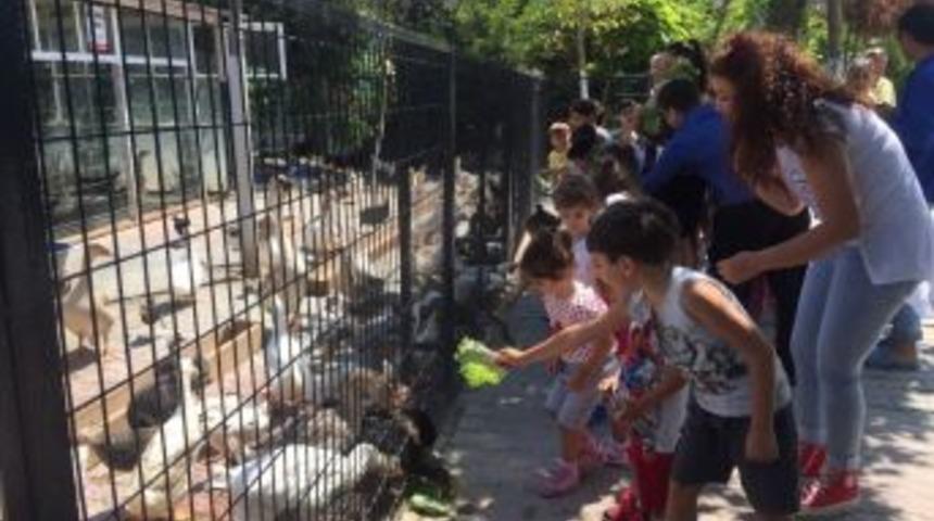 Mini Hayvanat Bah&ccedil;esi, Sahipsiz Ve Bakıma Muhta&ccedil; Hayvanlara Yuva Oldu