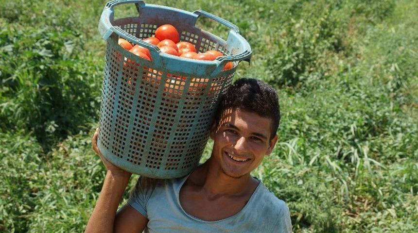Liseden Mezun Oldu, Tarıma Y&ouml;neldi