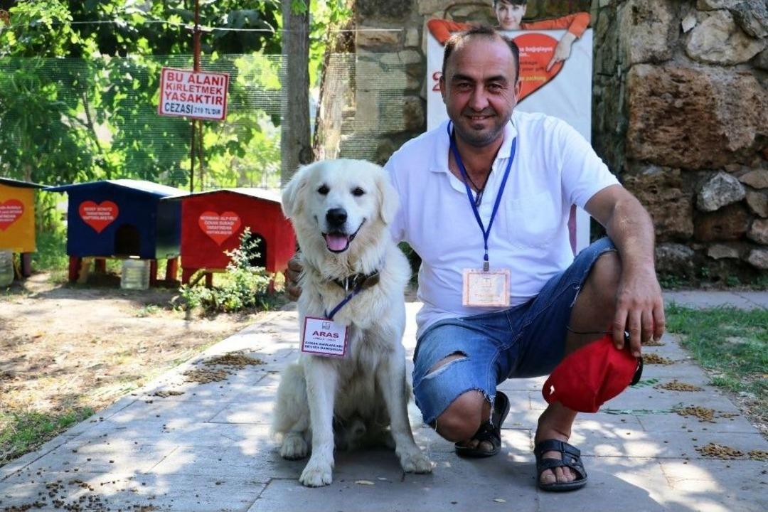 Turizm El&ccedil;isi Kedilerin Koruması Fenomen K&ouml;pek &rsquo;aras&rsquo;