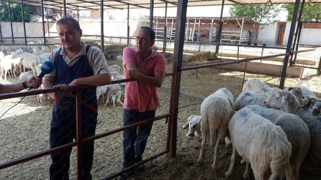 (&ouml;zel Haber) Meclis Stresini K&ouml;yde Atıyor