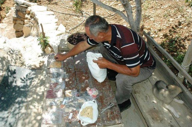 Kahramanmaraşlı Çiftçinin Organik Tohum Koleksiyonu