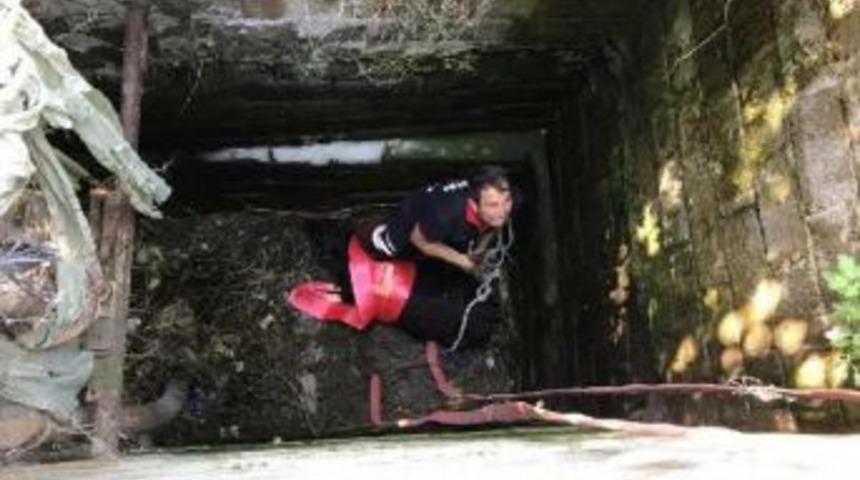 İtfaiyeden Buzağı Kurtarma Operasyonu