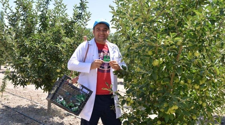 Faydalı B&ouml;cekler Kayseri&rsquo;de İş Başında