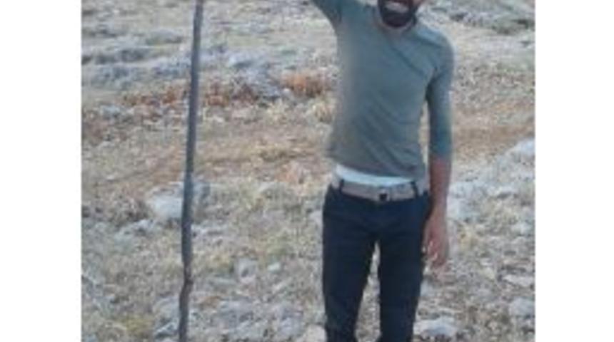 Ovacık&rsquo;ta 2 Metre Uzunluğunda Yılan &Ouml;ld&uuml;r&uuml;ld&uuml;