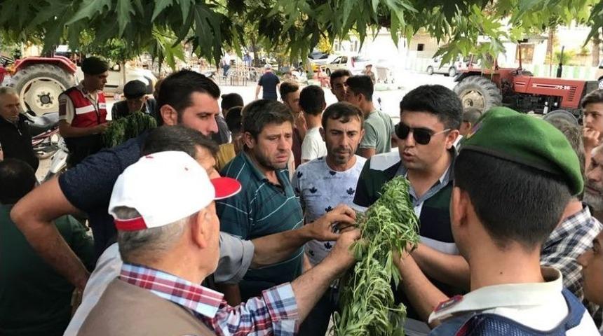 Jandarmanın K&ouml;yl&uuml;ye Verdiği Uyuşturucu Eğitim Meyvesini Verdi