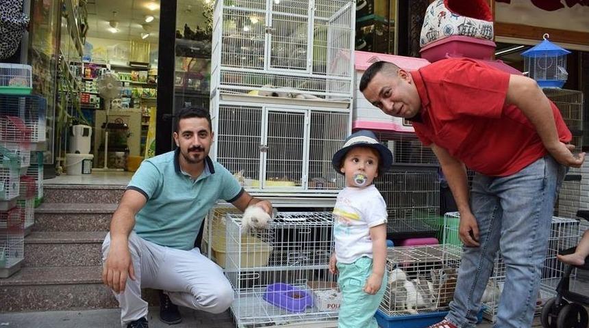 Malatya&rsquo;da İsko&ccedil; Kedisi Merakı