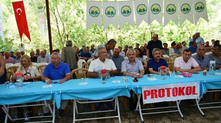 Beydağı Dereköy Şenlikleri