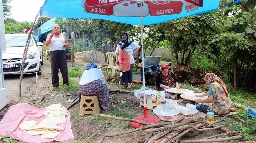Fatsa&rsquo;da Fındık Sezonu Hazırlıkları