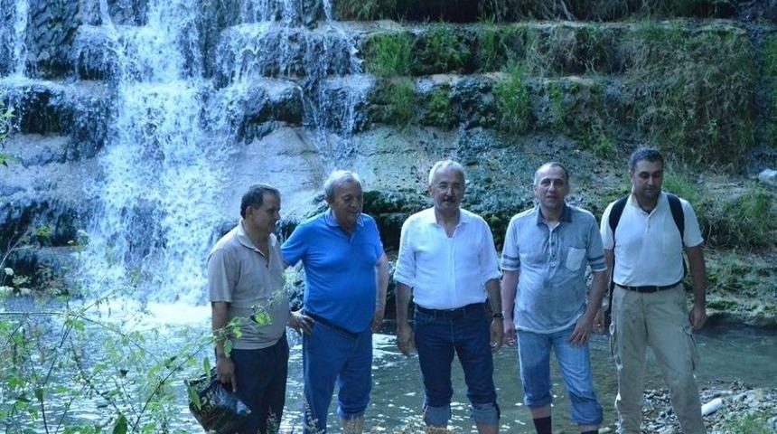 Zonguldak Ormanlarının Gizli Hazineleri G&uuml;n Y&uuml;z&uuml;ne &Ccedil;ıkarılıyor