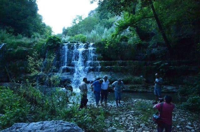 Zonguldak Ormanlarının Gizli Hazineleri Gün Yüzüne Çıkarılıyor