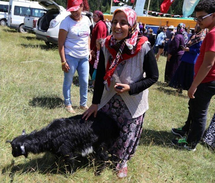 Sıcaktan Bunalan Vatandaşlar Yaylaya Akın Etti G3