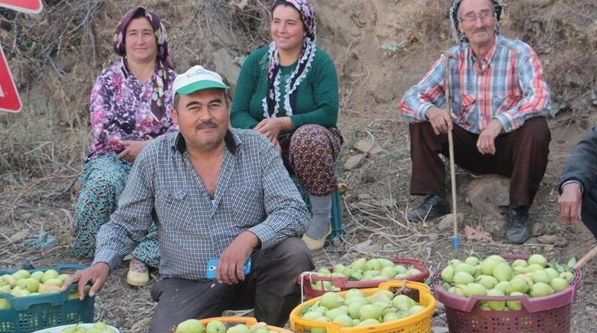 &Uuml;reticiler Armutlarını Satmak İ&ccedil;in Destek İstiyor