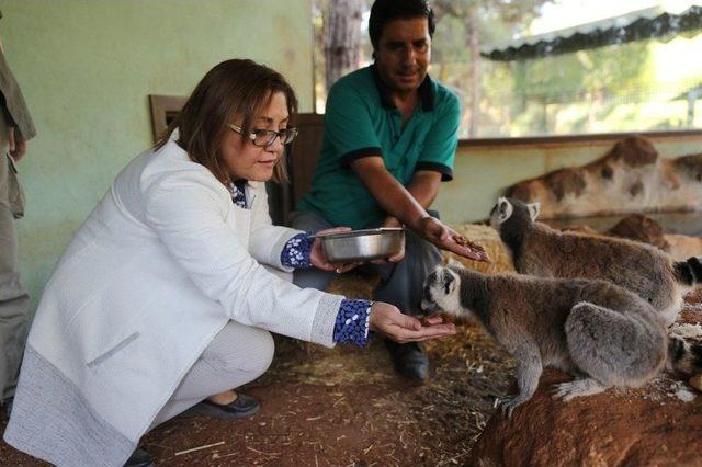 Gaziantep Hayvanat Bahçesi, Doğurganlık Oranıyla Avrupa’da Birincisi