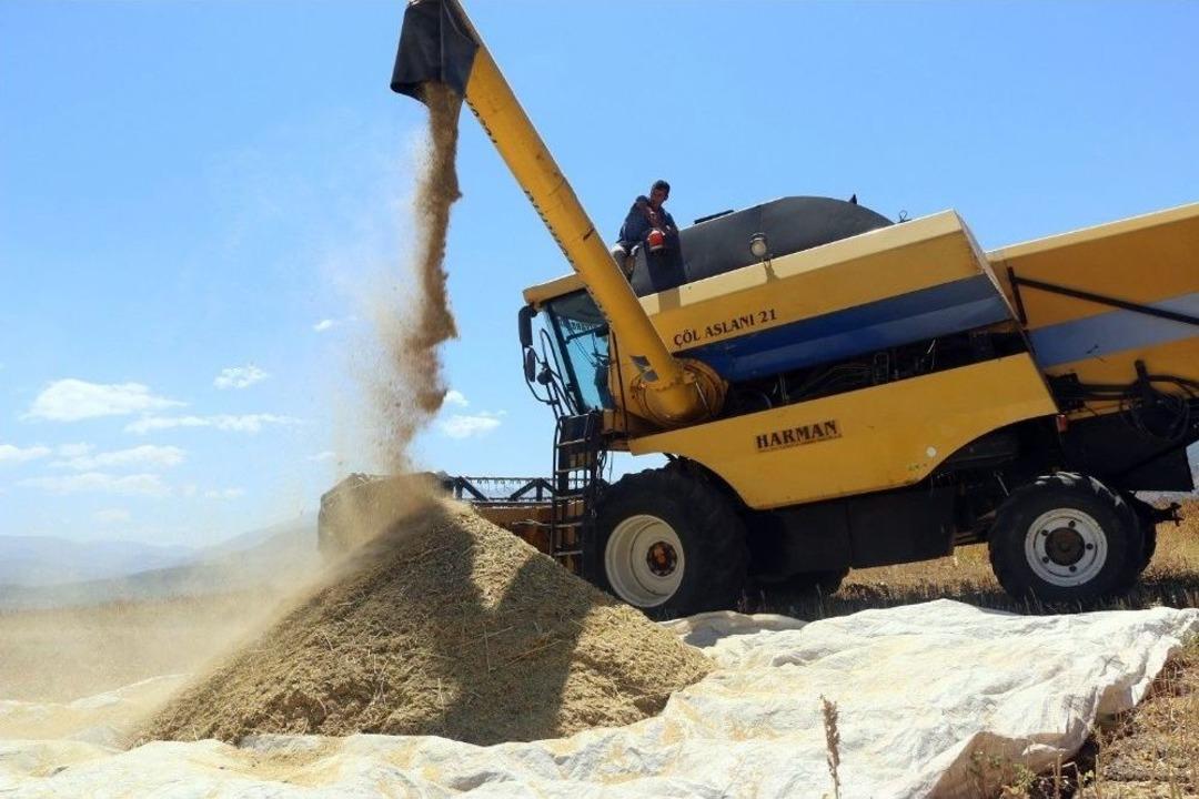 İlk Kez Ekti, 400 Bin Lira Gelir Bekliyor