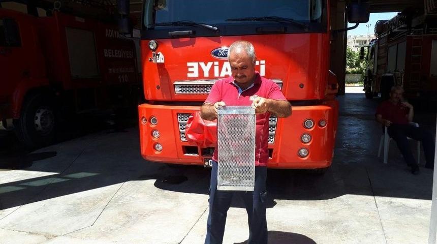 Otomobile Giren Yılan Korkuttu