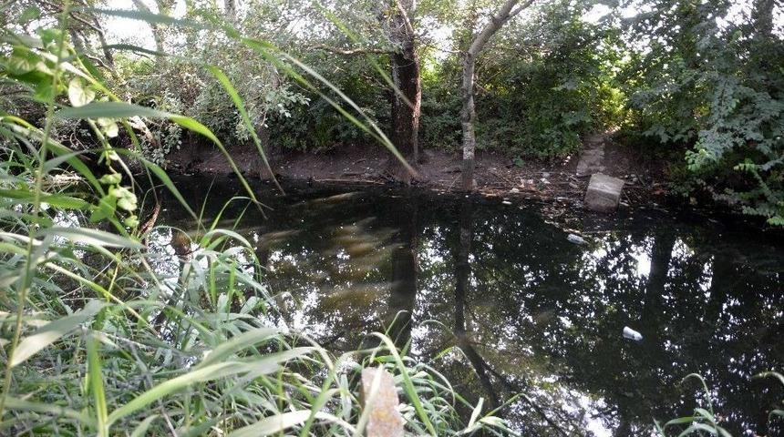 Akarca Islah Edilecek