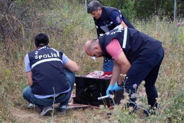 Evden Çaldıkları Kasayı Boş Arazide Parçaladılar