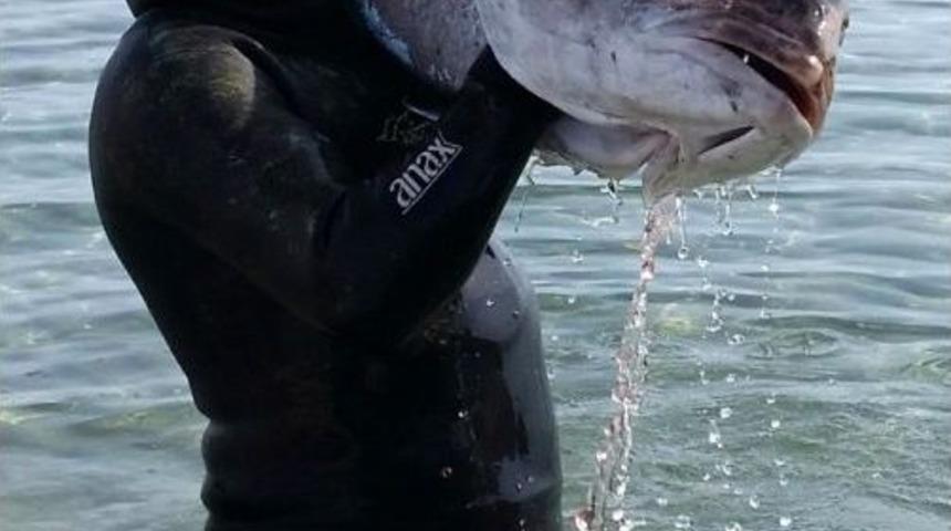 Dev Balığı Zıpkınla B&ouml;yle Avladı