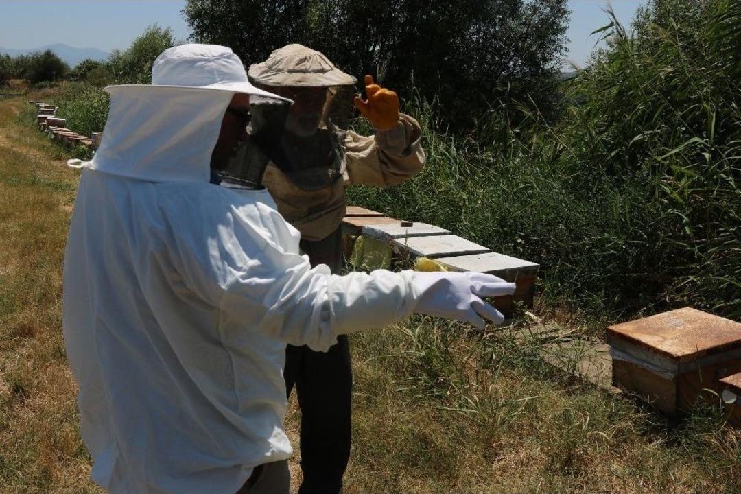 Vicdansız Hırsızlar Arı Kovanlarını &Ccedil;aldı