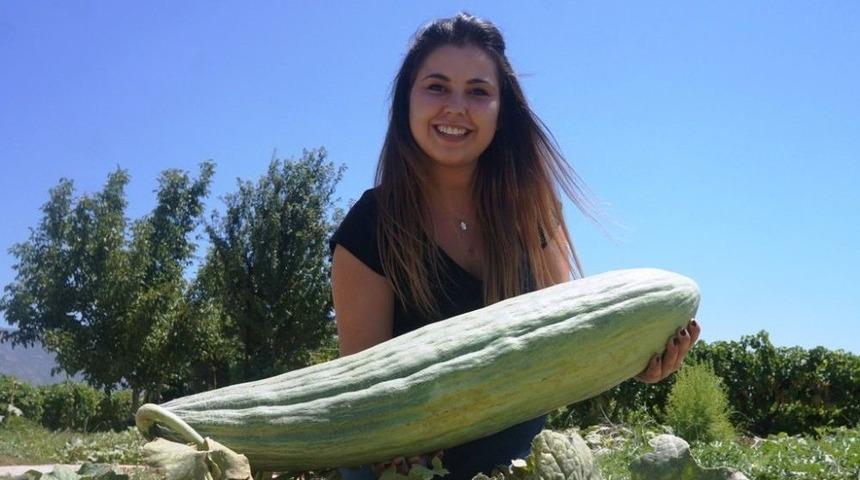 Manisa&rsquo;da Bir Metrelik Acur Yetiştirdi