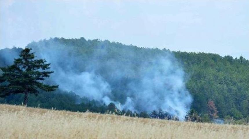 Karab&uuml;k'te Orman Yangını