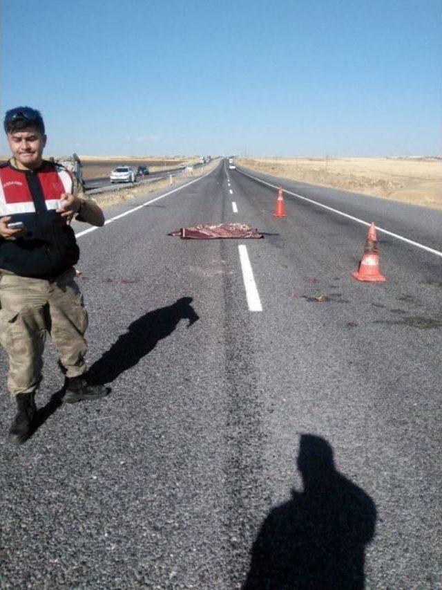 Siverek-hilvan Karayolunda Trafik Kazası: 1 Ölü, 4 Yaralı