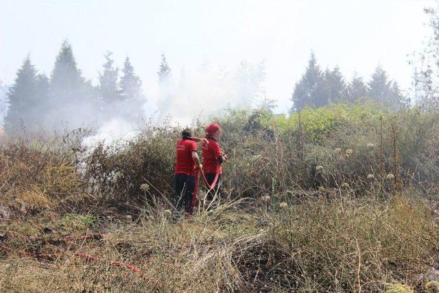 Kocaeli&rsquo;de Orman Yangını 3