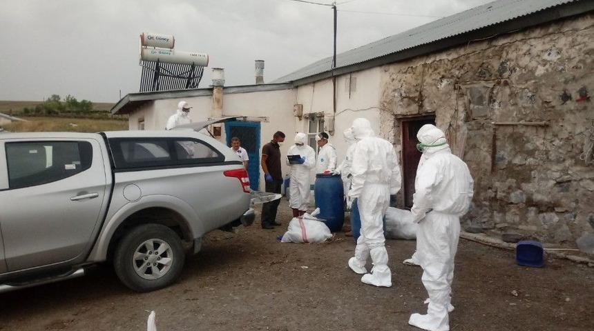 Kars&rsquo;ta Kuş Gribi Ş&uuml;phesi