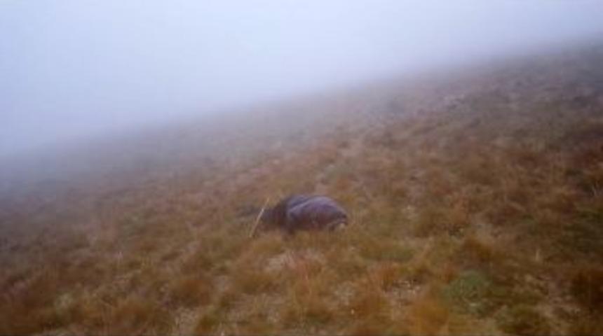 Kayıp Şahıs 16 G&uuml;n Sonra &Ouml;l&uuml; Bulundu