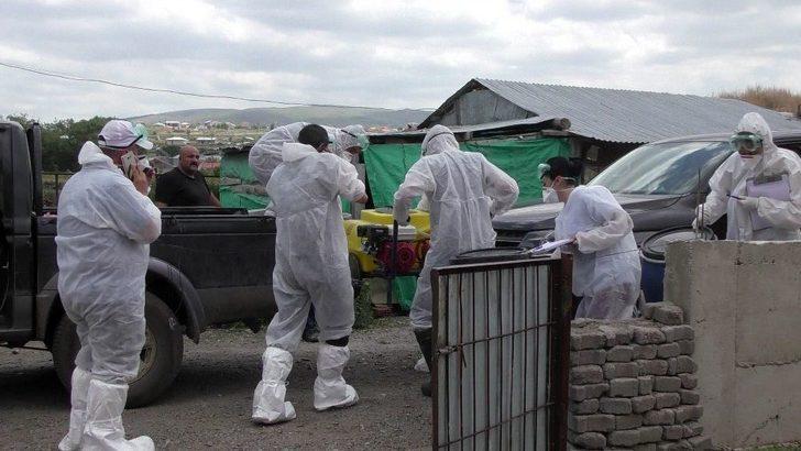 Ardahan’da Kuş Gribi Şüphesi G3