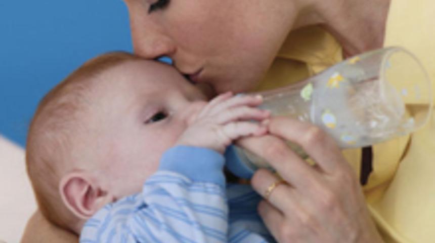 T&uuml;m Mamalar GDO İ&ccedil;ermiyor