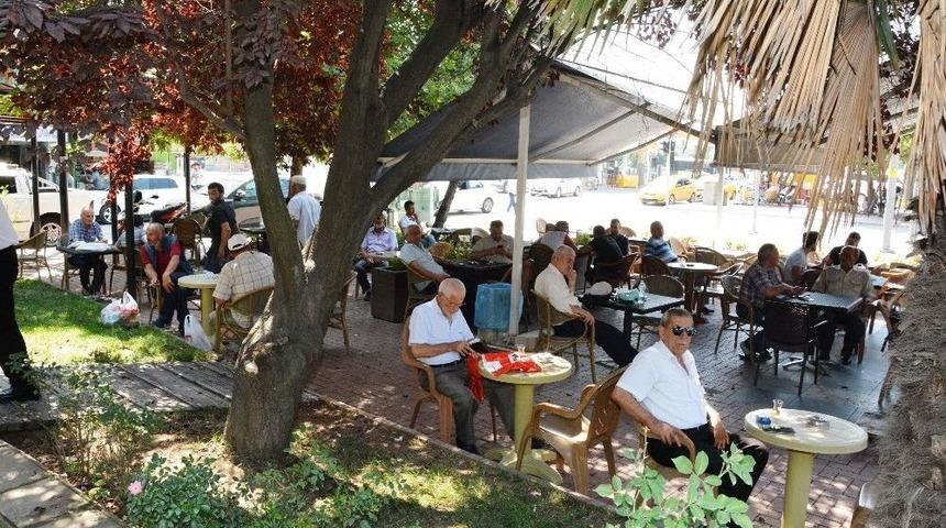 İzmit Beledeyesi&rsquo;nin &Ccedil;ay Bah&ccedil;esi B&uuml;y&uuml;k İlgi G&ouml;r&uuml;yor